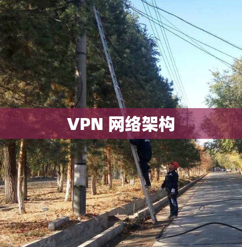 VPN 网络架构 VPN 网络架构