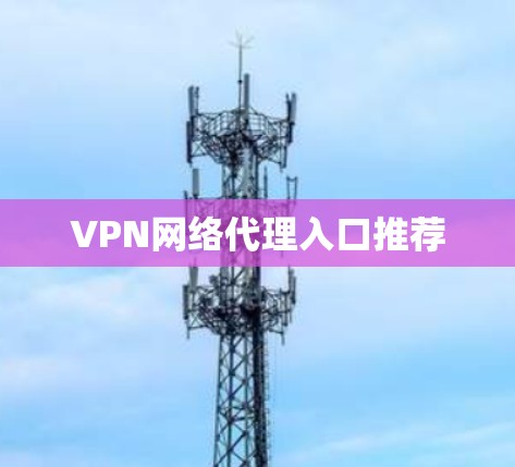 VPN网络代理入口推荐 VPN网络代理入口推荐