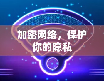 加密网络,保护你的隐私 加密网络,保护你的隐私