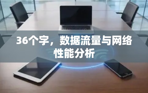 36个字,数据流量与网络性能分析 36个字,数据流量与网络性能分析