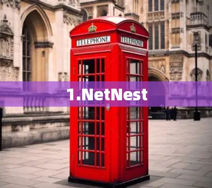 1.NetNest 1.NetNest