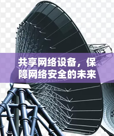 共享网络设备，保障网络安全的未来