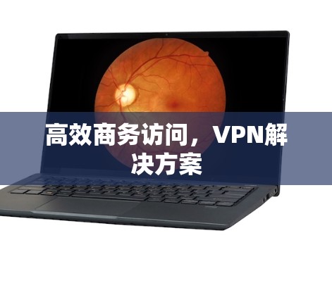 高效商务访问,VPN解决方案 高效商务访问,VPN解决方案