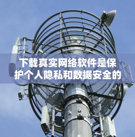 下载真实网络软件是保护个人隐私和数据安全的重要步骤。以下是一些详细的步骤和方法，帮助您在真实网络环境中下载和使用这些软件