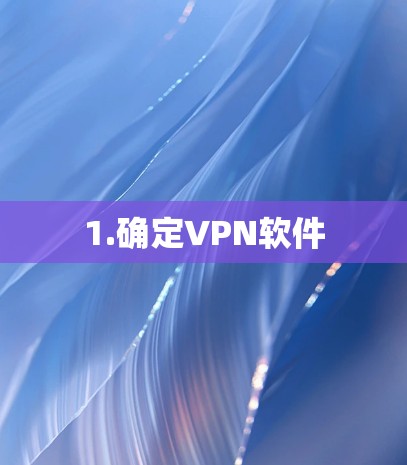 1.确定VPN软件