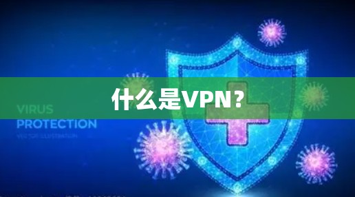 什么是VPN? 什么是VPN?