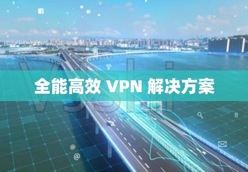 全能高效 VPN 解决方案 全能高效 VPN 解决方案