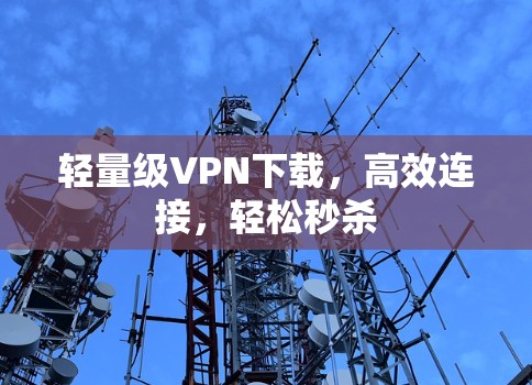 轻量级VPN下载，高效连接，轻松秒杀