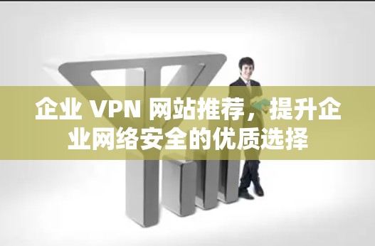 企业 VPN 网站推荐,提升企业网络安全的优质选择 企业 VPN 网站推荐,提升企业网络安全的优质选择