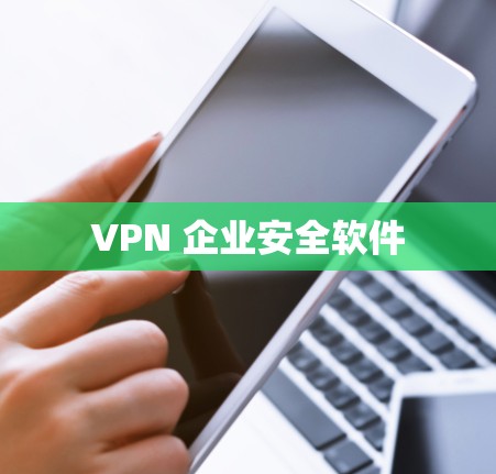 VPN 企业安全软件 VPN 企业安全软件