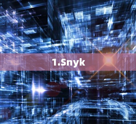 1.Snyk 1.Snyk