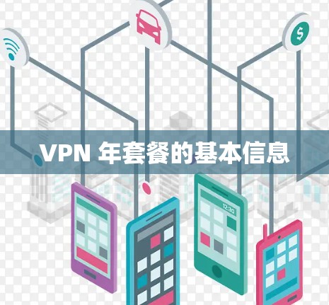 VPN 年套餐的基本信息