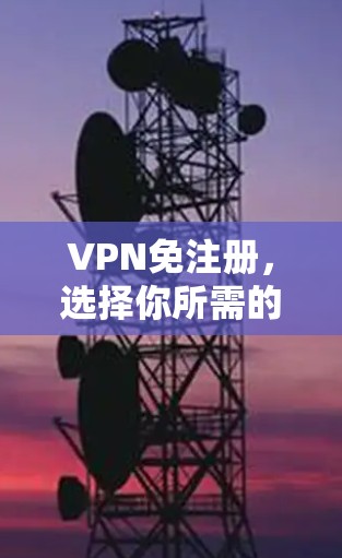 VPN免注册,选择你所需的安全
